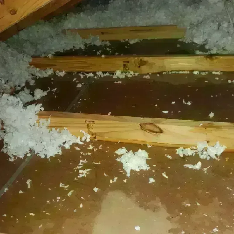 Attic Water Damage in Lake Brownwood, TX