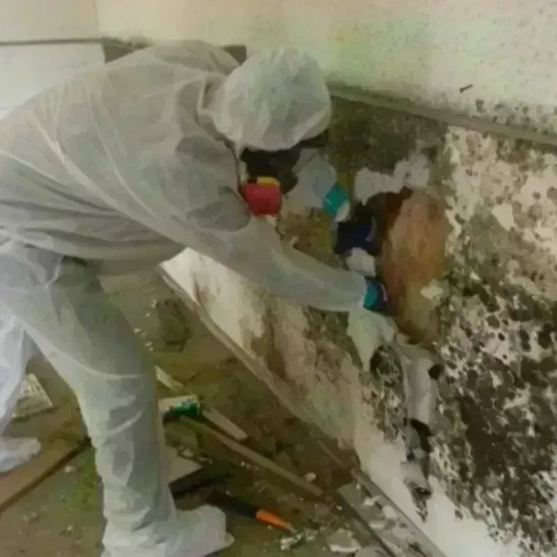 Mold Remediation and Removal in Lake Brownwood, TX