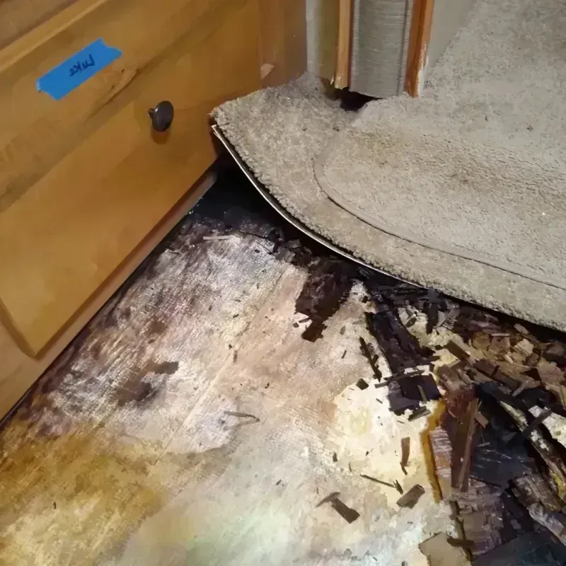 Wood Floor Water Damage in Lake Brownwood, TX